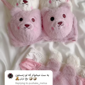 Adorable Fuzzy Bear Lingerie Set